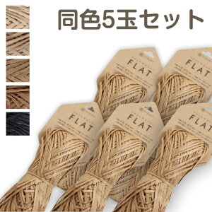 c SASAWASHI FLAT F5ʃZbg a tbg a _} 3300@(񂹕i)@([֕s)