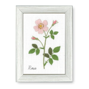 SSԒ|Cg10{!hイLbg VA uؘaq 12̐A蒟([Y) v }ăvg ɏt[t G߂̑ԃV[Y KN o イ hJ shishu@542006@(