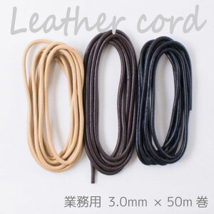 SSԒ|Cg10{!yz@wA[g wƖp 努 otU[R[h 3.0mm×50mx [ ۊvЂ vЂ v {v Ђ R@(񂹕i)@([֕s)