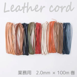 SSԒ|Cg10{!yz@wA[g wƖp 努 {^jJU[R[h2.0mm×100mx Ȗ؃U[ vЂg vЂ v {v Ђ R@(񂹕i)@([