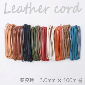 SSԒ|Cg10{!yz@wA[g wƖp 努 {^jJU[R[h3.0mm×100mx Ȗ؃U[ vЂg vЂ v {v Ђ R@(񂹕i)@([