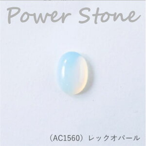 wA[g wp[Xg[ ~jJ{V (bNIp[) 16×12mmx VR ANZT[@AC1560@(񂹕i)@([։)