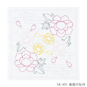 IpX ut̉Ovhq Ԃӂ Lbg@SK-491@([։)