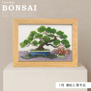 �労�ӍՊ��Ԓ��|�C���g10�{!�h���イ�L�b�g 12������BONSAI 1�� �я��Ɗ��؉Z �I�����p�X�@7612�@(���񂹕i)�@(���[���։�)