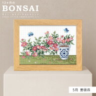【マラソン期間クーポン配布中!】刺しゅうキット 12ヶ月のBONSAI 5月 野薔薇 オリムパス　7616　(取り寄…