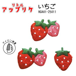 gAbvP@@RG401-25011@(񂹕i)@([։)