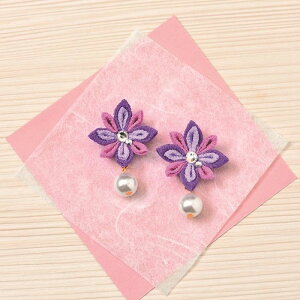 pi~ |Lbg ߂܂ݍ׍H ʉԃCO(p[v) ܎OAƎɂ@LH-419@(񂹕i)@([։)