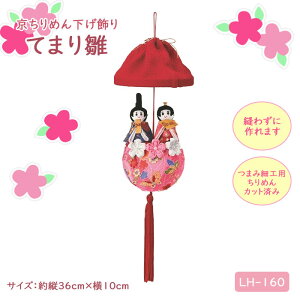 pi~ D킸ɍ ߂  Ă܂萗 Lbg@LH-160@(񂹕i)@([֕s)