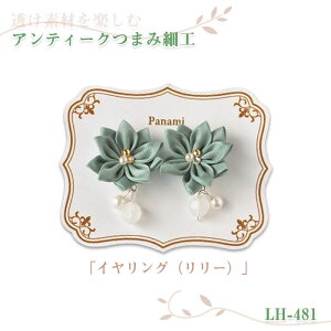 pi~ fނy AeB[N܂ݍ׍H CO ([)@LH-481@(񂹕i)@([։)