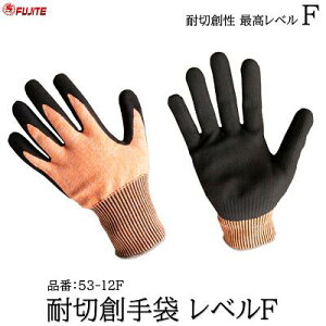 y lR|XI zϐؑn Fxi F 53|12Fy EN388@2016Ki zy ϐؑn ōxF zy ϖ@ϔM250 zxm܍HƊЁiFUJITEj