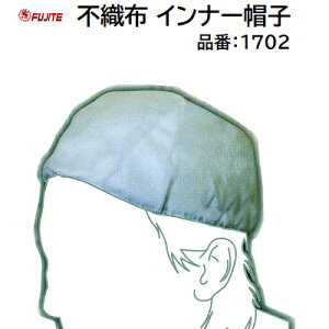 sDz Ci[Xq F 4TCY F t[ni70gjy Ci[Lbv ĝ zxm܍HƊЁiFUJITEj