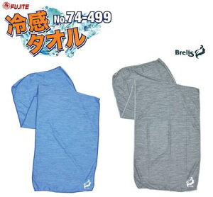 Brelisi uX j⊴^I@NoD74|499y J[ F O[ E u[ zy TCY F 30cm × 100cm zy  {gP[X zxm܍HƊЁiFUJITEj