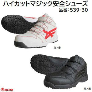 nCJbg}WbNSV[Yi F 539|30J[ F × ^ ×TCY 24D5 ` 28cm3E@Sc@ EVAiϖjy Z[teB[V[Y zxm܍HƊЁiF