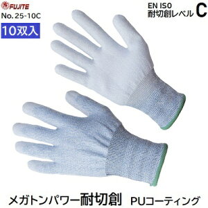 y 10o zKgp[ ϐؑnPUR[eBOi F 25|10CTCY F MELELLJ[ F u[E^R[gEN ISOϐؑnxCxm܍HƊЁiFUJITEj