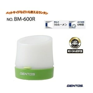 WFgX ou[^i F BM|600R y 50[ zy _Ԗ6 zy hHdliIPX4jzy drłgp\iP3×3{j zy LED^ zWFgXЁiGENT