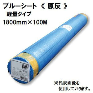 u[V[g [y yʃ^Cv z1800mm×100My1{z{V[g@P~J