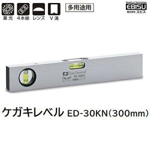 PKLxi F ED|30KNTCY F 300mm{̃J[ F Vo[p̃PKLły ^ zy prp  zЃGrXiEBISUj