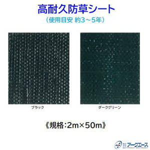 ϋvhV[gy 2m × 50m zy ubN^_[NO[ zy gpڈ F 3 ` 5N zЃA[NG[X