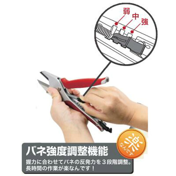 楽天市場】みきかじや村 楽なんです 剪定TS178（胡桃 