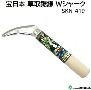 {拘 WV[NXeX|i F SKN|419S F 210mmnn F 90mmnɂڒn̏Ɂy { zVn