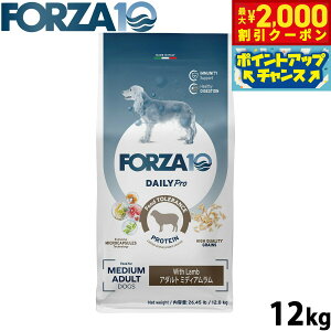 �y�ő�2000�~OFF�N�[�|���I���X���|�C���g�ő�54�{�I�{������I�z�t�H���c�@10 Forza10 �h�b�O�t�[�h �f�C���[�v�� Daily Pro �A�_���g�~�f�B�A�� ���� 12kg ���Y�� ���� ���