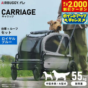 y2000~OFFN[|IX|Cgő52{I}\zGAoM[ tH[ ybg LbWiCARRIAGEj Zbgiԁ{[tj Cu[ ybgJ[g AIRBUGGY AD3052