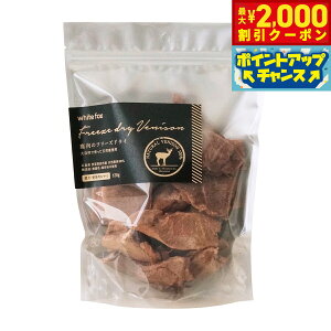 y2000~OFFN[|IX|Cgő52{I}\zzCgtHbNX ̃t[YhC 120g  L  育 gbsO Y Y F ۑsgp