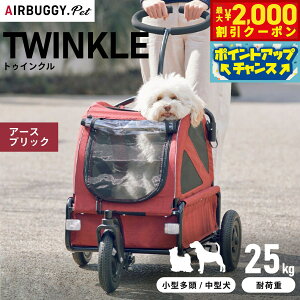 y2000~OFFN[|IX|Cgő51{I{IzGAoM[ tH[ ybg gDCNiTWINKLEj A[XubNyz ybgJ[g AIRBUGGY AD3017