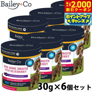 y2000~OFFN[|IX|Cgő50{I}\IzxC[R[ Bailey{Co t[YhC Tvg r[t {[ uX u[x[ 30g×6Zbg X[v ӂ肩 gb