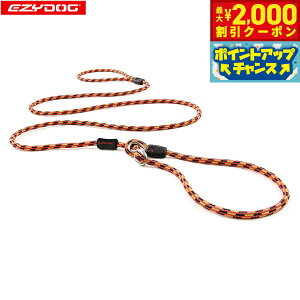 y2000~OFFN[|IX|Cgő50{I}\IzC[W[hbO EZYDOG J[hCg 6mm IWyz `[N[h oRp[v