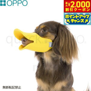 y2000~OFFN[|IX|Cgő51{I{IzOPPO quackiNAbNj SMTCY pi ցi݂ ʖih~j/GUxXJ[