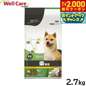 y2000~OFFN[|IX|Cgő51{I{IzEFPA hbOt[h Đp A_g`VjA 2.7kg Y 