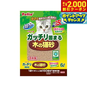 y2000~OFFN[|IX|Cgő51{I{IzPetio yeBI Kb`ł܂؂̔L 6L Lpi ˂ObY ybgObY ybgpi