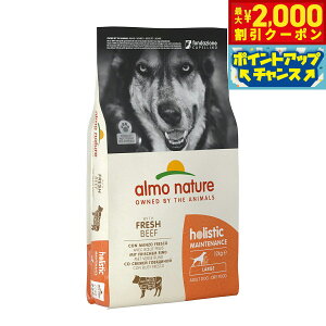 y2000~OFFN[|IX|Cgő51{I{IzAlC`[ hbOt[h zXeBbNhCt[h ^p r[t 12kg  hCt[h h{H 