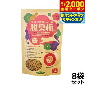 y2000~OFFN[|IX|Cgő51{I{IzEL~ L̏LgC L 3L×8܁yz