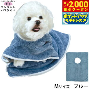 y2000~OFFN[|IX|Cgő51{I{IzvC[hbO 郏oX^I M u[ z Vv[ g~O