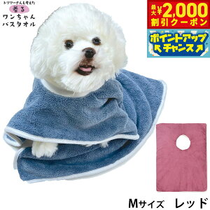 y2000~OFFN[|IX|Cgő51{I{IzvC[hbO 郏oX^I M bh z Vv[ g~O