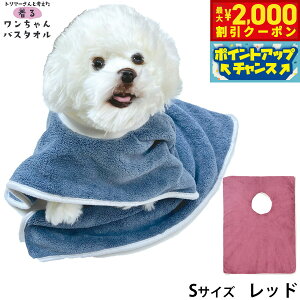 y2000~OFFN[|IX|Cgő51{I{IzvC[hbO 郏oX^I S bh z Vv[ g~O