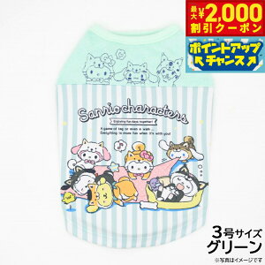 y2000~OFFN[|IX|Cgő51{I{IzTI ΂ʃTILN^[YEFA 3 O[