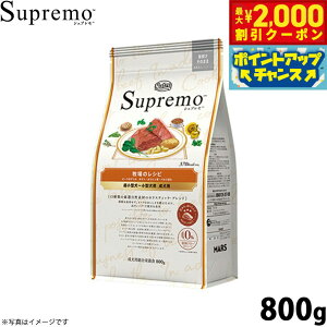 y2000~OFFN[|IX|Cgő51{I{Izj[g Vv ^`^p p q̃Vs r[t 800gihbOt[h t[ OCt[ Y 