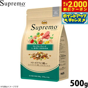 y2000~OFFN[|IX|Cgő51{I{Izj[g Vv ^`^p p v~Auh  500g Y hbOt[h t[YhC 