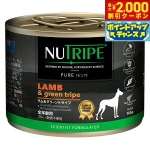 y2000~OFFN[|IX|Cgő51{I{Izj[gCv hbOt[h EFbg sA O[gCv 185g NUTRIPE Y ʋl h{H sgp 