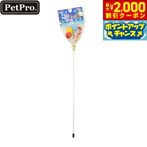 y2000~OFFN[|IX|Cgő51{I{Izybgv Lp RR˂炵