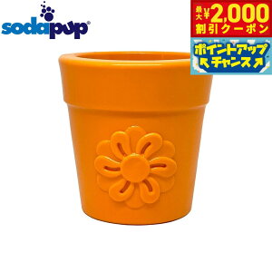 y2000~OFFN[|IX|Cgő51{I{Iz\_pbv g[gfBXyT[Gb`ggC t[|bg IWyz hbOgC p d