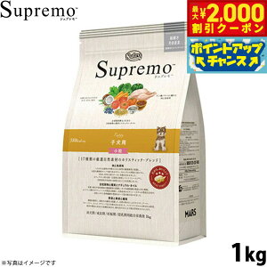 y2000~OFFN[|IX|Cgő52{I}\Izj[g Vv hbOt[h S qp  1kg NUTOR hbOt[h Y  pi ybgpi ͂ v~A