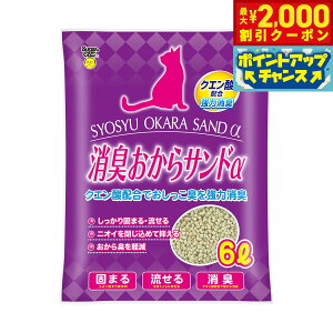 y2000~OFFN[|IX|Cgő52{I{IzX[p[Lbg NEWLThNG_z 6L Lpi ˂ObY ybgObY ybgpi L