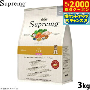 y2000~OFFN[|IX|Cgő52{I}\Izj[g Vv hbOt[h S qp  3kg NUTOR hbOt[h Y  pi ybgpi ͂ v~A