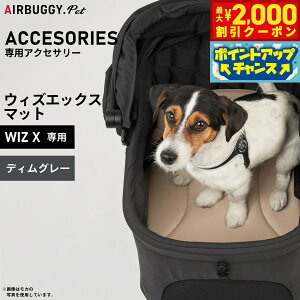 y2000~OFFN[|IX|Cgő52{I{IzGAoM[ tH[ ybg AIRBUGGY FOR PET WIZ Xp}bg fBO[ AD9091