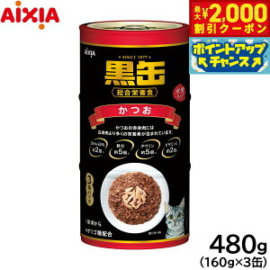 y2000~OFFN[|IX|Cgő52{I}\IzACVA Lbgt[h 3P  480gi160g×3ʁj L