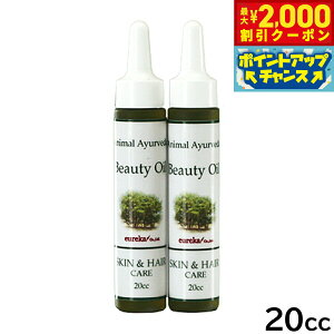 y2000~OFFN[|IX|Cgő52{I{IzAj}A[F[_ r[eBIC 20cc e XLPA wAPA